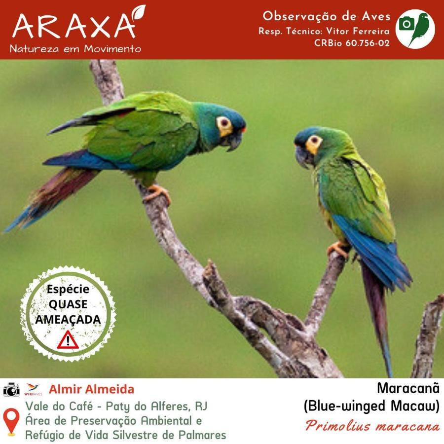 Sitio Araxa - 82 Anos De Historia - Suite Confortavel Em Meio A Floresta Paty do Alferes Ngoại thất bức ảnh