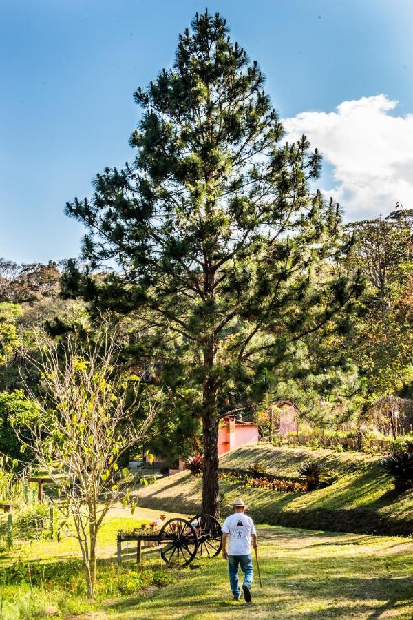 Sitio Araxa - 82 Anos De Historia - Suite Confortavel Em Meio A Floresta Paty do Alferes Ngoại thất bức ảnh