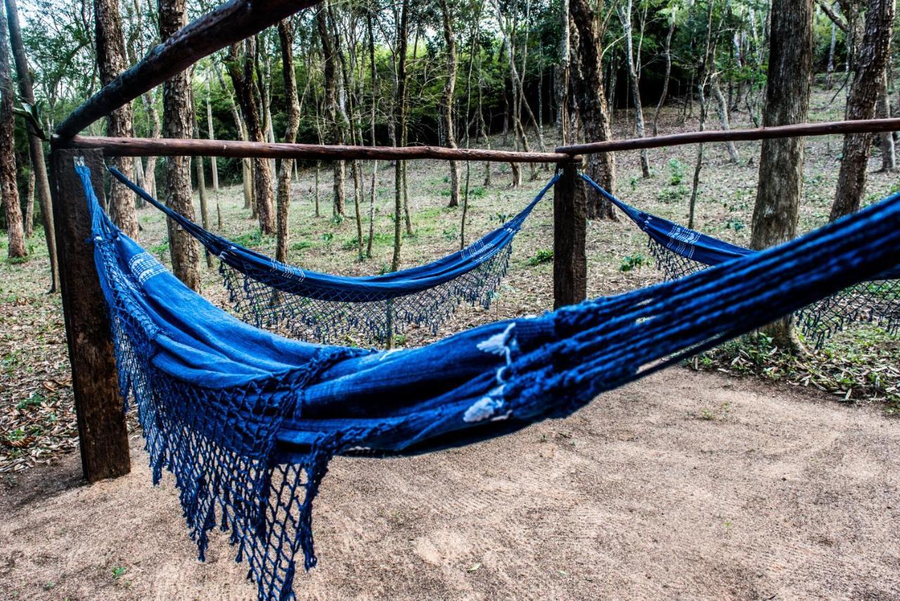 Sitio Araxa - 82 Anos De Historia - Suite Confortavel Em Meio A Floresta Paty do Alferes Ngoại thất bức ảnh