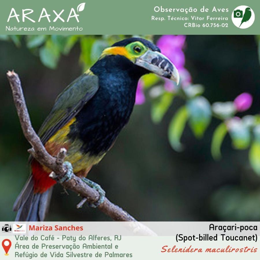 Sitio Araxa - 82 Anos De Historia - Suite Confortavel Em Meio A Floresta Paty do Alferes Ngoại thất bức ảnh